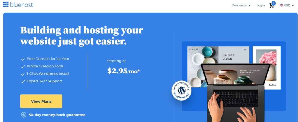 Bluehost Homepage Screen shot