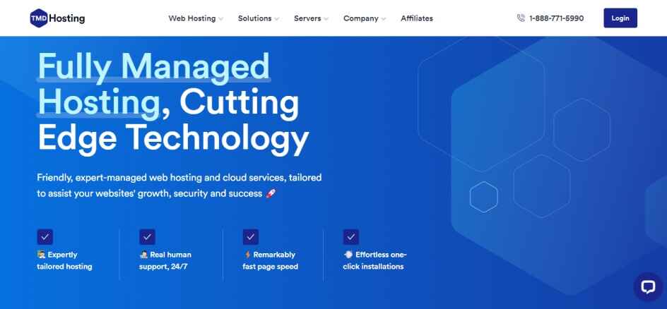 TMDhosting Screen shot